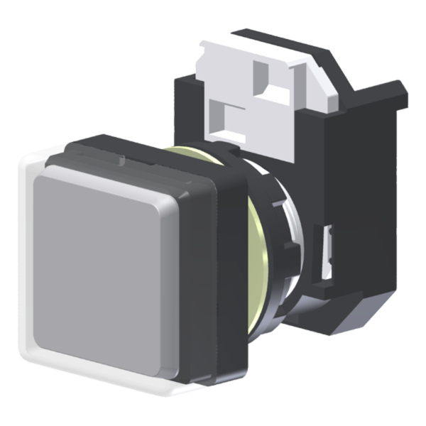 C4XPT