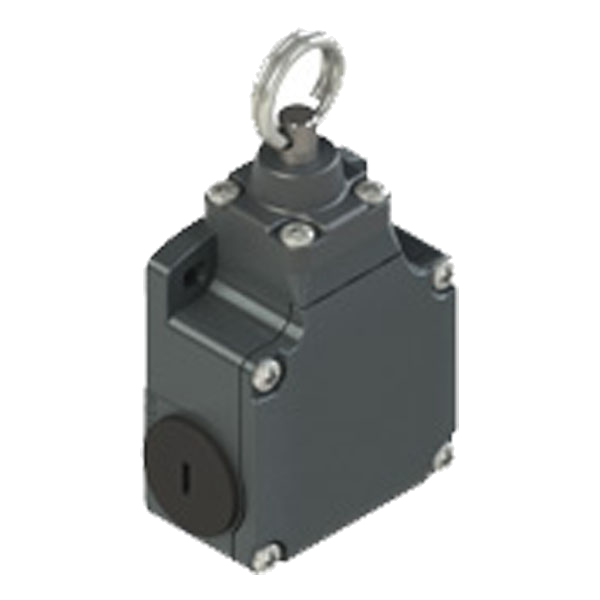 FL576-T6 – Cabeçote ou acessório para interruptor de posição Série LE