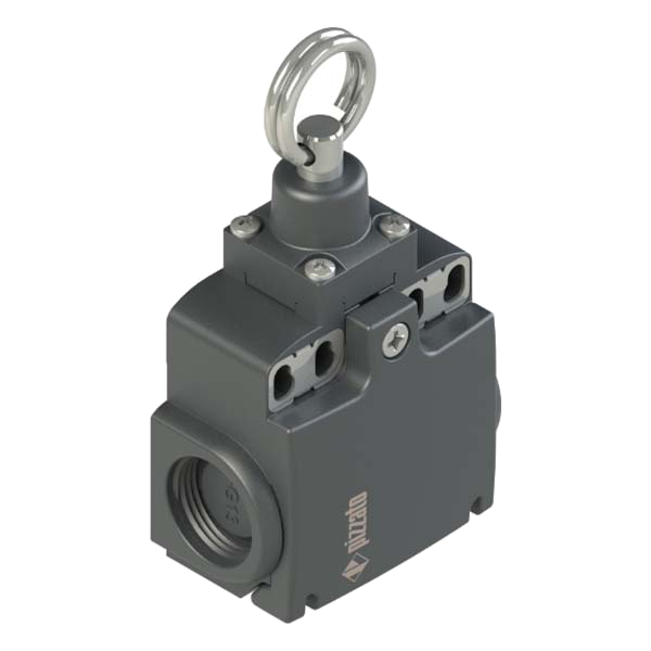 FX2076 – Interruptor de posición Serie LE