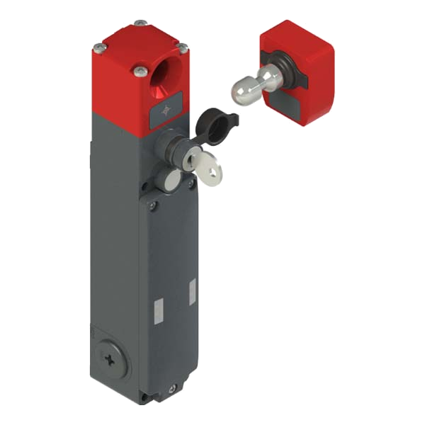 NG2D5D411A-F31