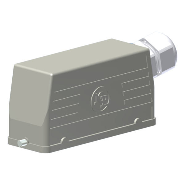 PBP24L
